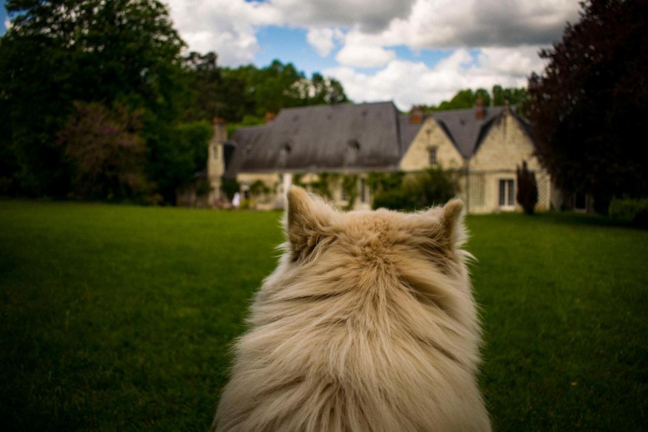 Bed & Breakfast - La Closerie De La Fuye Ballan-Miré Exteriér fotografie